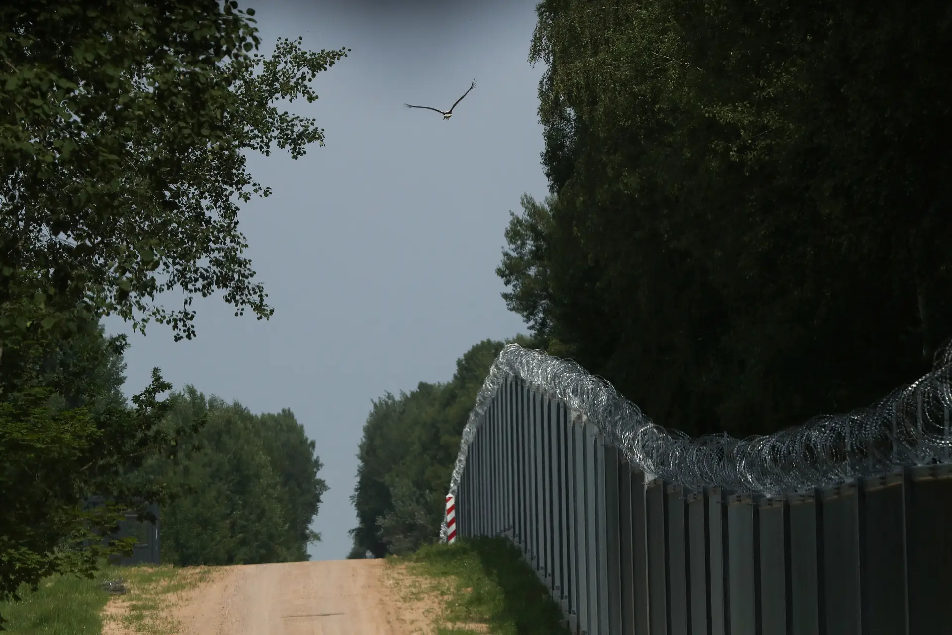 Cerca erguida entre na fronteira entre a Polónia e a Bielorrússia