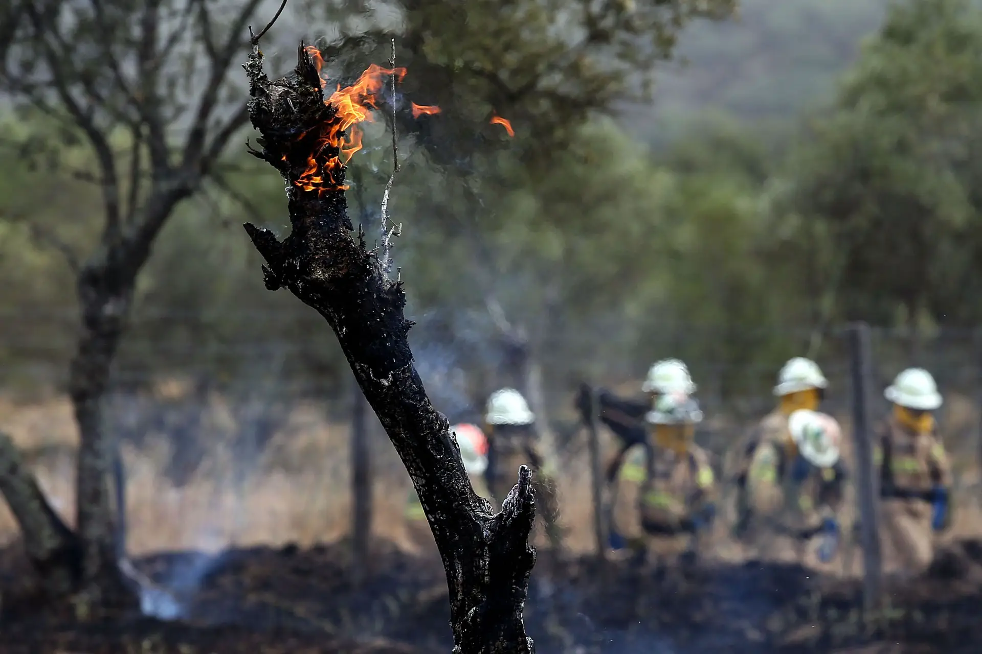 Incêndio em Montemor-o-Novo