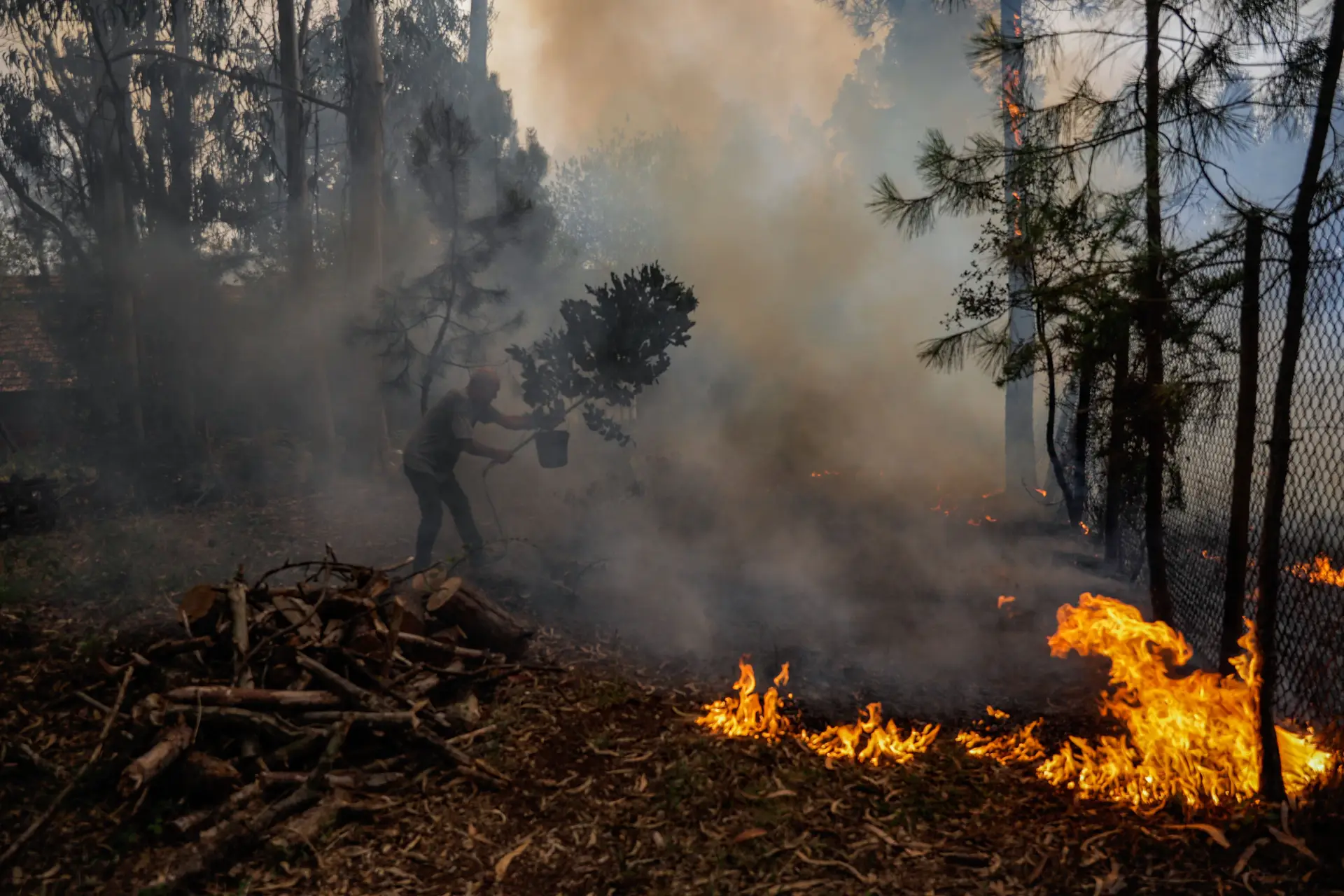 Incêndios. Câmara de Ansião pede mais meios “para evitar catástrofe”