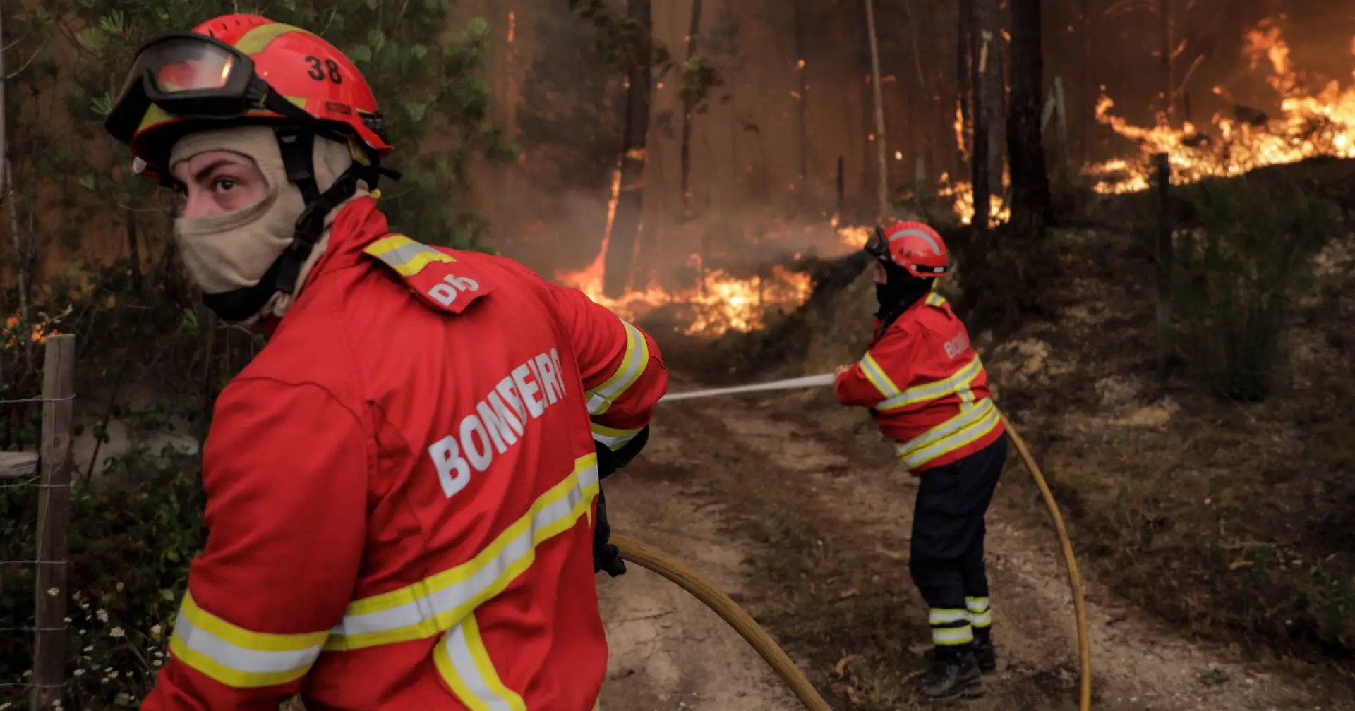 Federação dos Bombeiros do Porto alerta que plano de combate a fogos carece de apoios