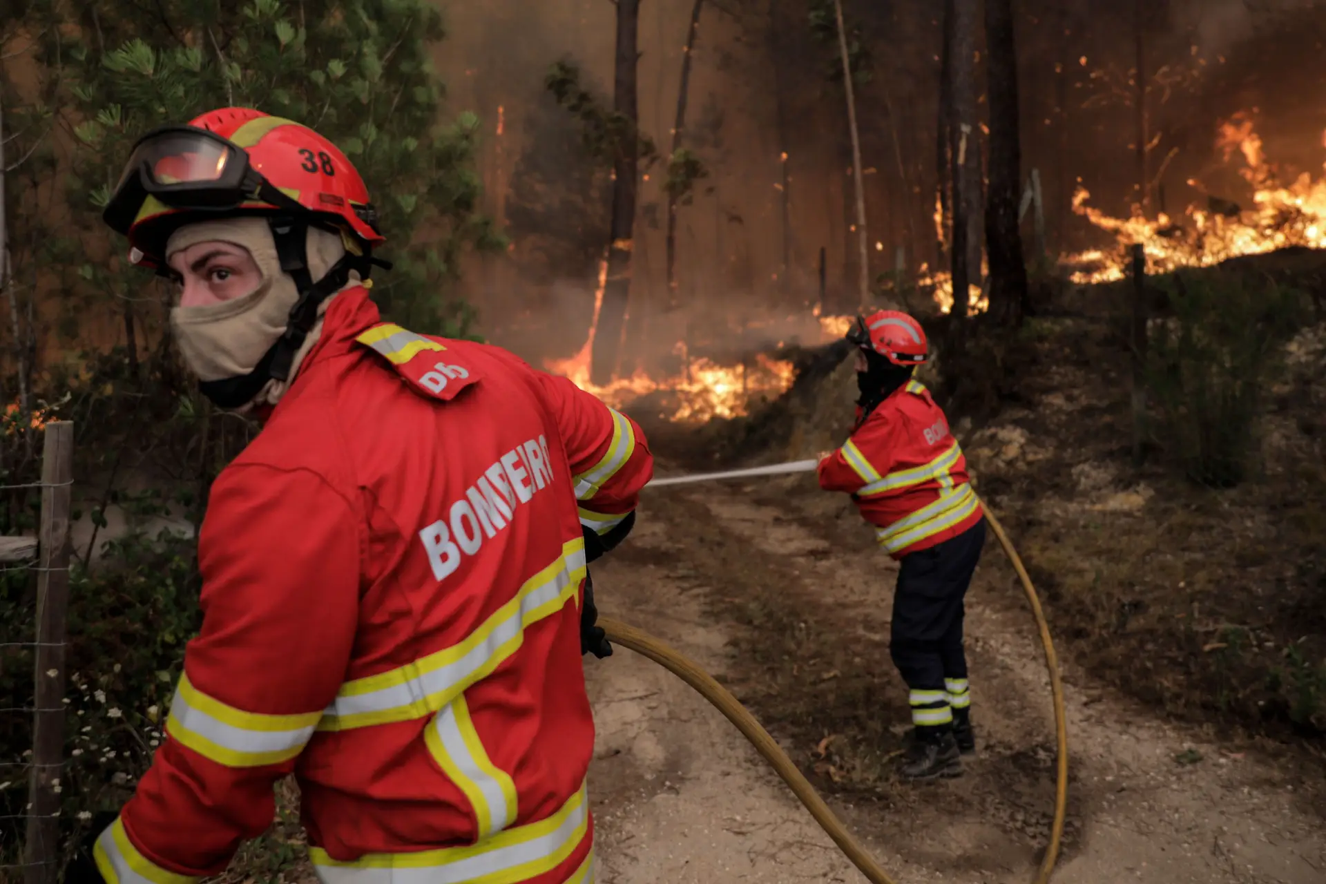 Páscoa: cerca de 30 concelhos em risco "muito elevado" e "máximo" de incêndio nos próximos dias: veja aqui o risco no seu distrito