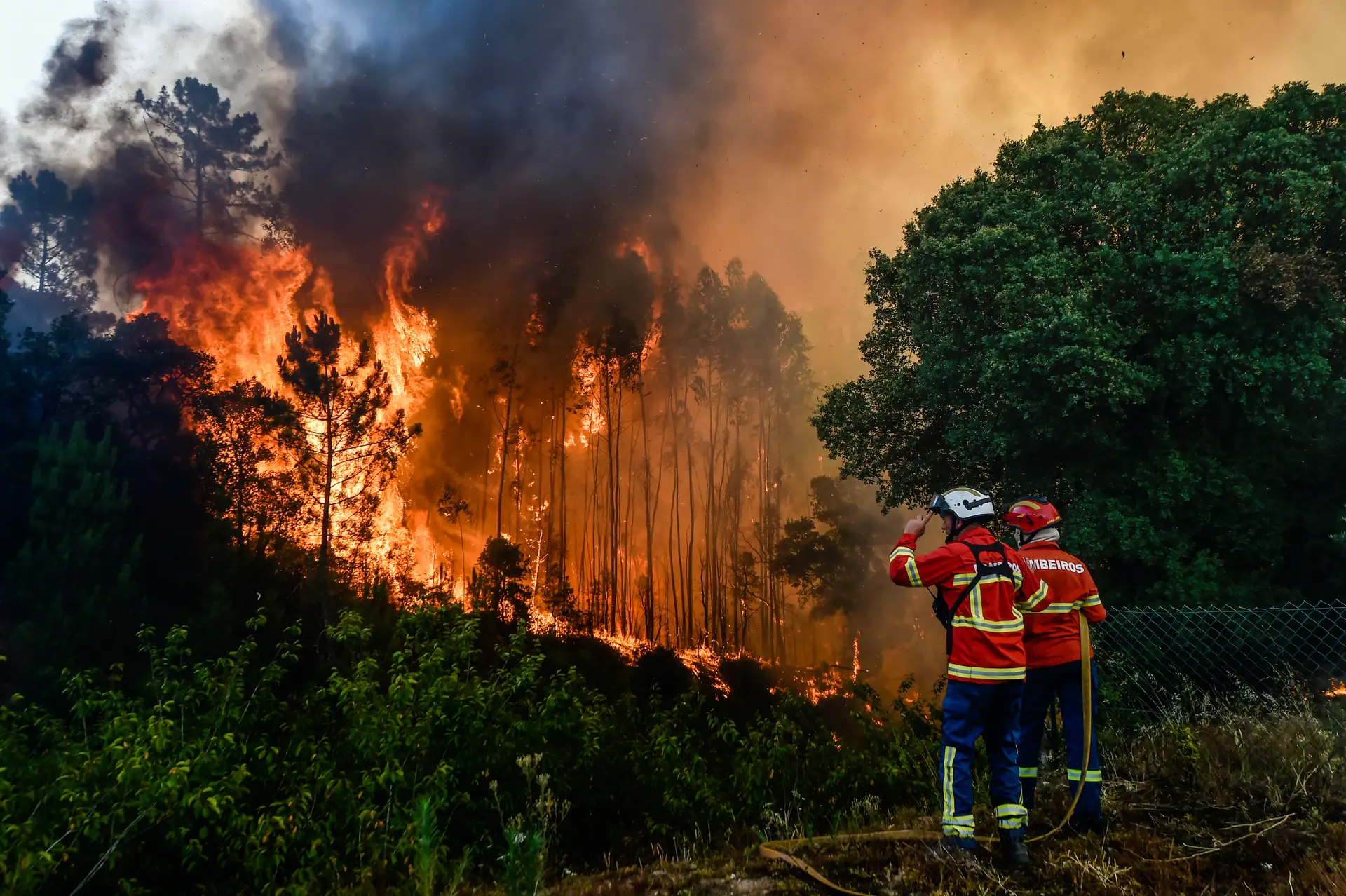 Incêndios: carta de perigosidade suspensa até 2024