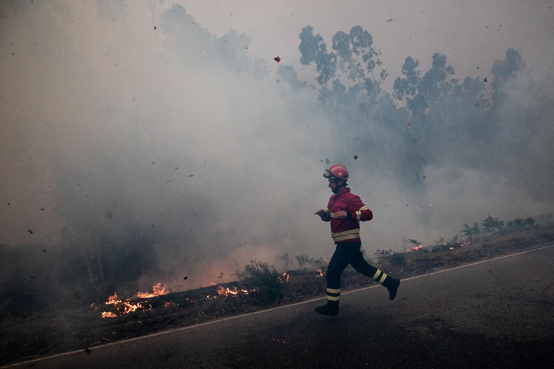 A Polícia Judiciária tem o perfil de 700 incendiários nas suas mãos. Um deles foi agora detido em Leiria por atear um fogo