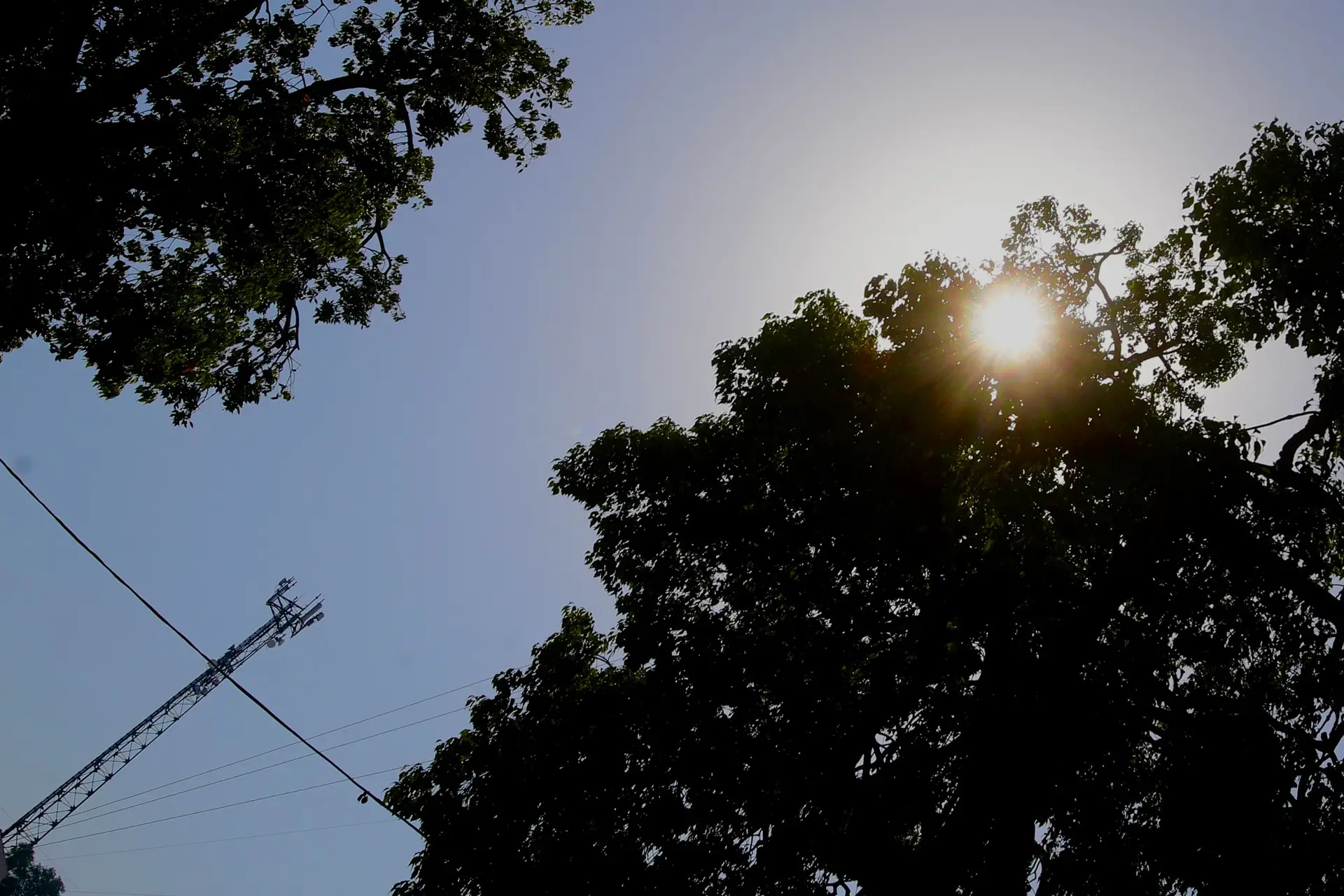 Quatro distritos sob aviso laranja até às 18h devido ao calor, temperaturas ainda podem chegar aos 40ºC no interior