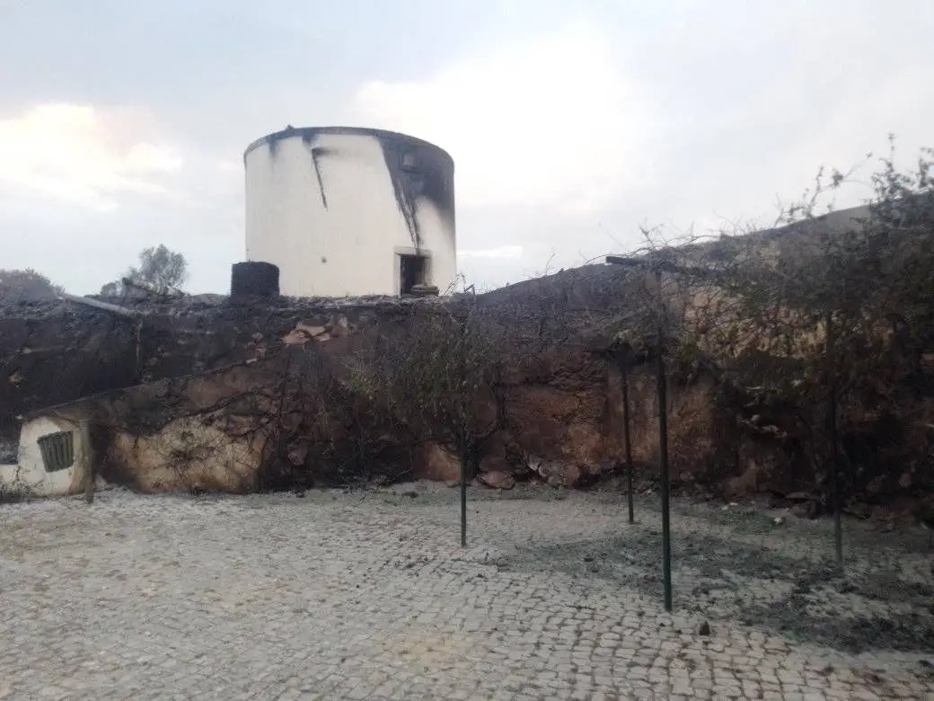 Fogo de Palmela destrói moinhos do projeto Histórias à Mesa: “Estamos de luto”