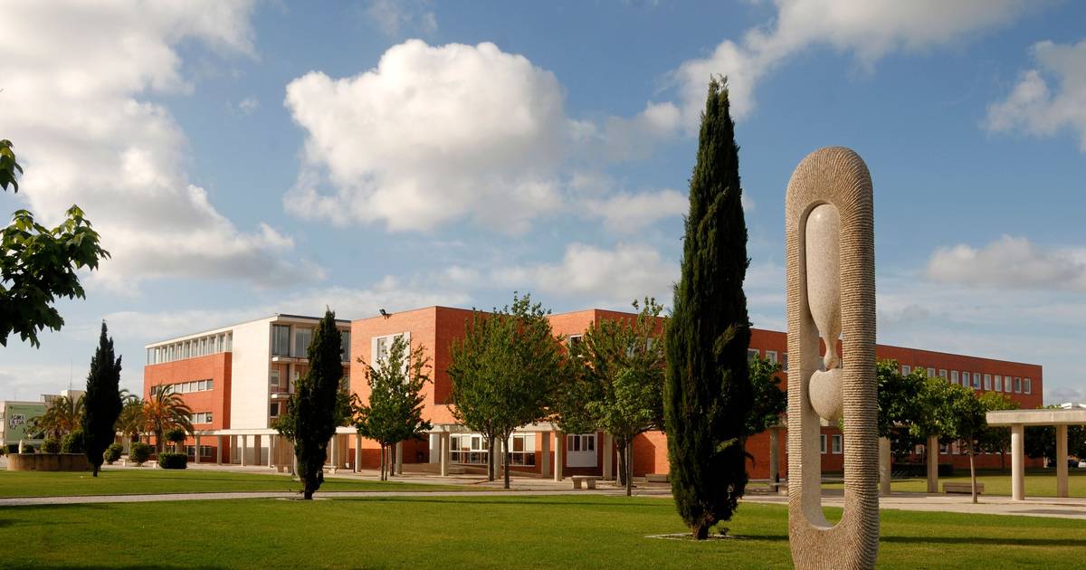 Rectors condemn minister's proposal to change higher education access rules