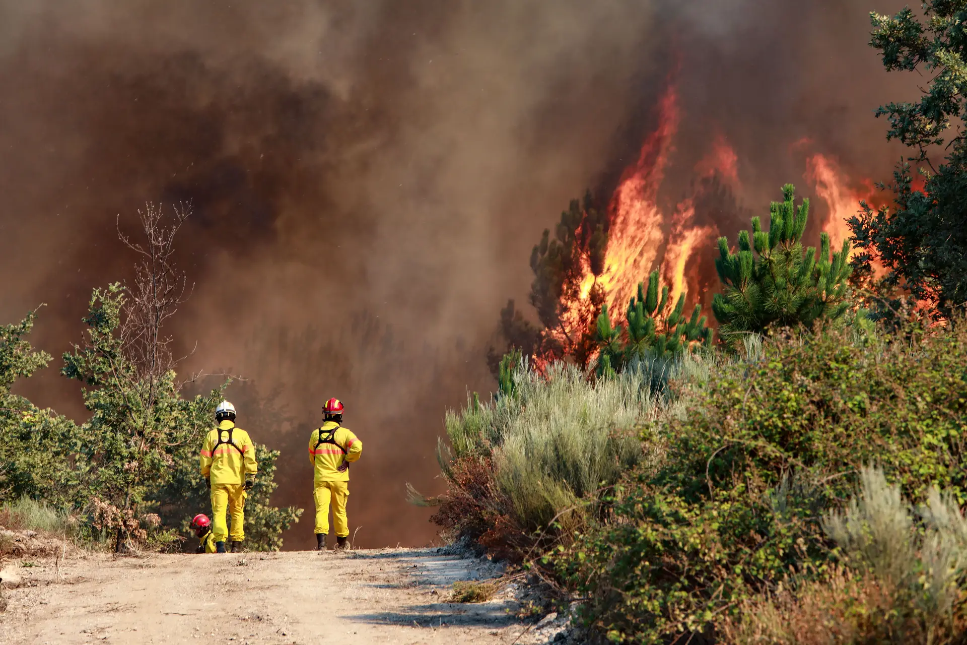 Ondas de calor afetam várias zonas da Europa ocidental