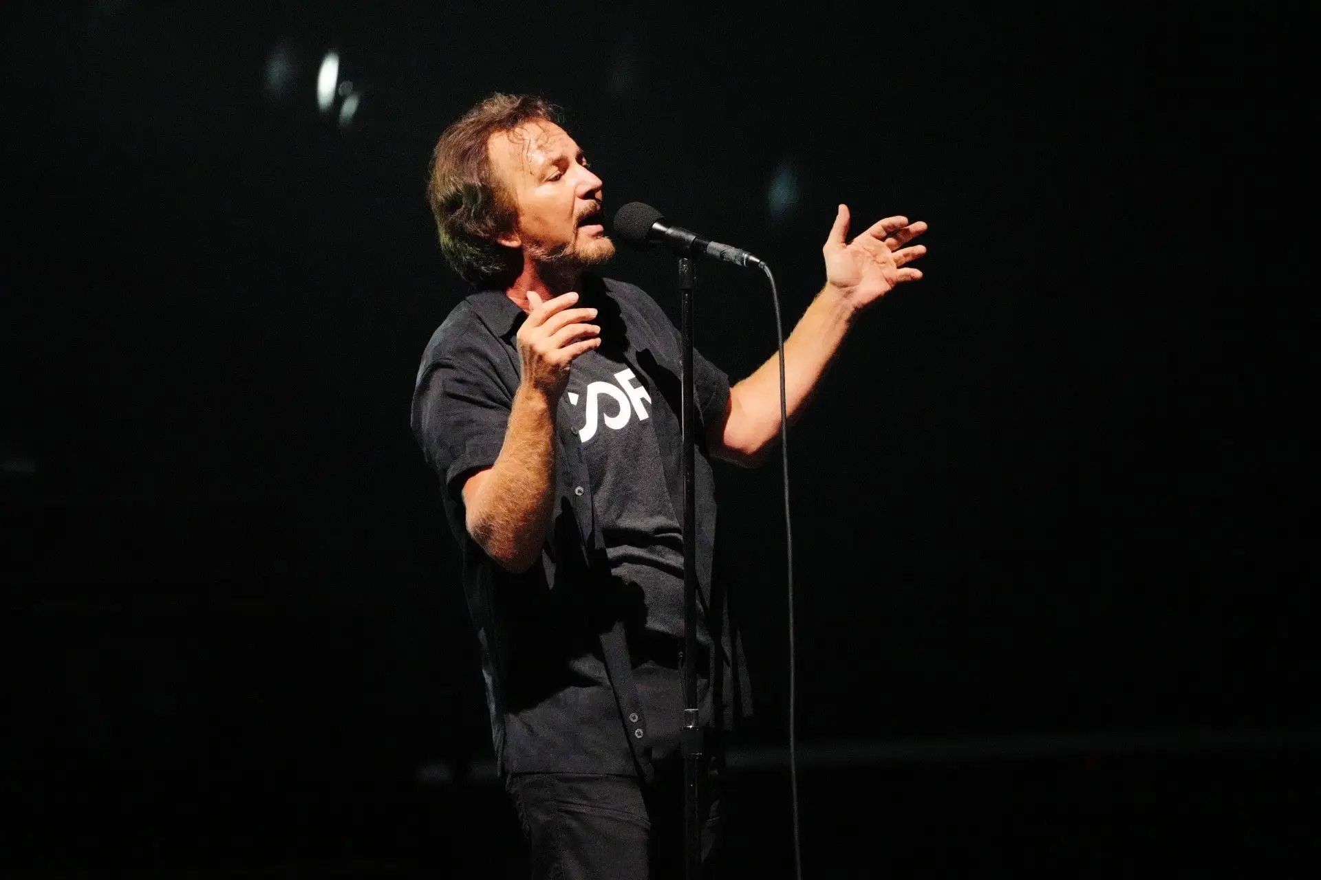 Eddie Vedder, dos Pearl Jam