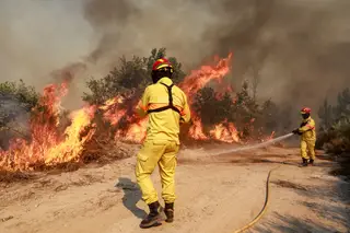 Já arderam mais 15 mil hectares do que em todo o ano passado. Mas "podia ter sido muito pior", frisa especialista