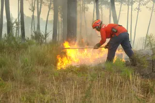 Vandalismo e reacendimentos estão entre as causas mais frequentes dos fogos em Portugal