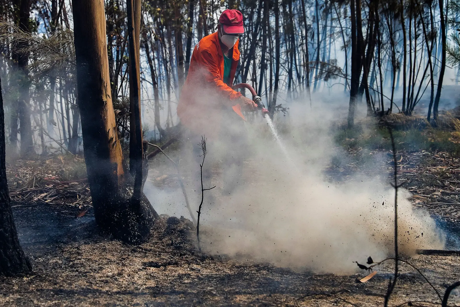 Mais de 680 operacionais e 11 meios aéreos combatem chamas em Murça. Ainda  há residentes fora das aldeias - Expresso