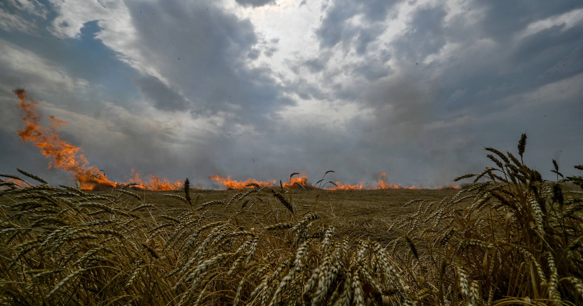 Campos minados e devastados pela guerra reduzem produção de cereais na Ucrânia