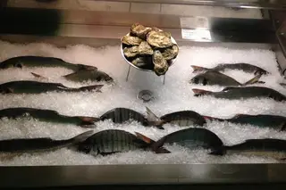 Seafood Restaurant O Tonico