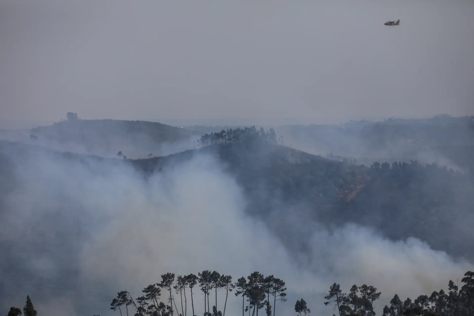 Dominado o incêndio em Gouveia, que levou à evacuação de um parque de campismo