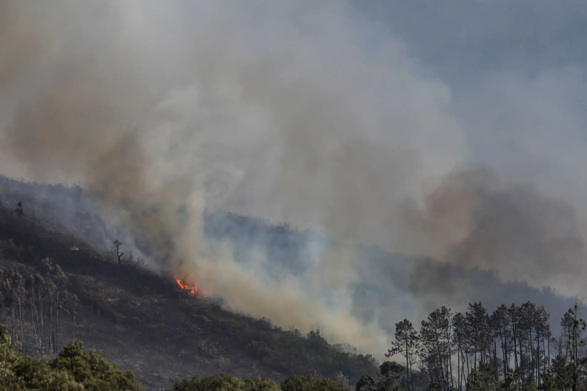 Incêndios: habitantes de povoações da Guarda regressam a casa