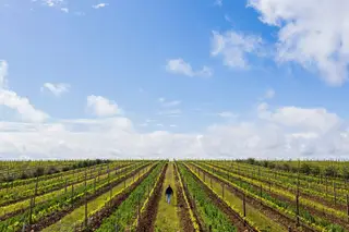 Herdade do Esporão