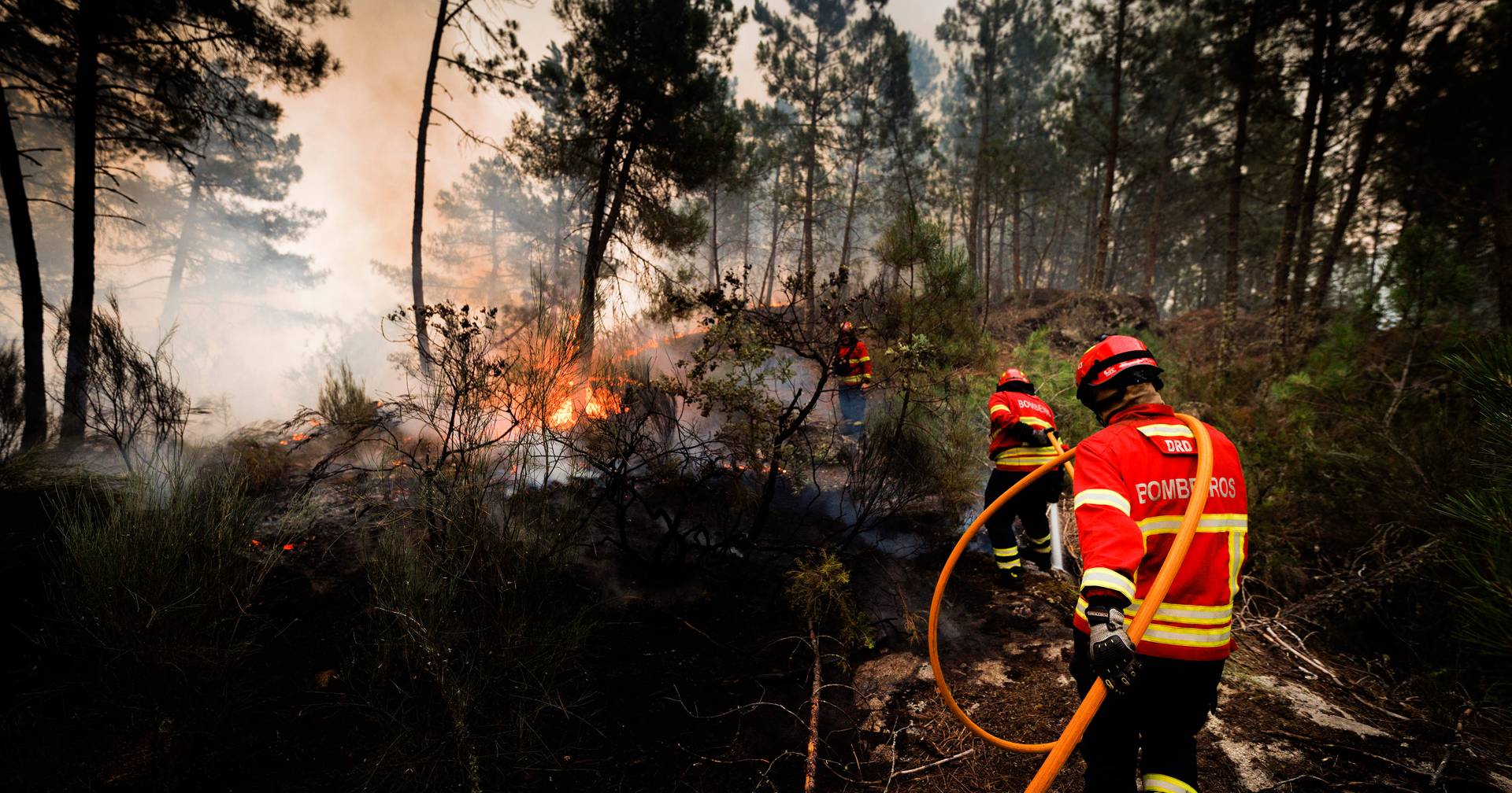 Noventa concelhos do interior Norte e Centro continuam em risco máximo de incêndio