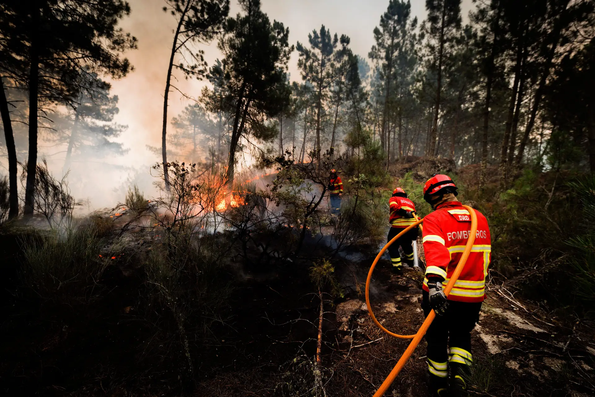 Incêndios: fogo em Pombal dominado; incêndio em Vila Pouca de Aguiar sem frentes ativas e em consolidação