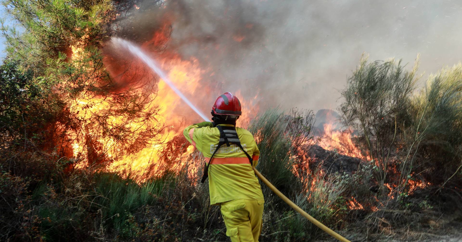 Incêndios mobilizam 1.000 operacionais sobretudo em Santarém, Coimbra e Leiria