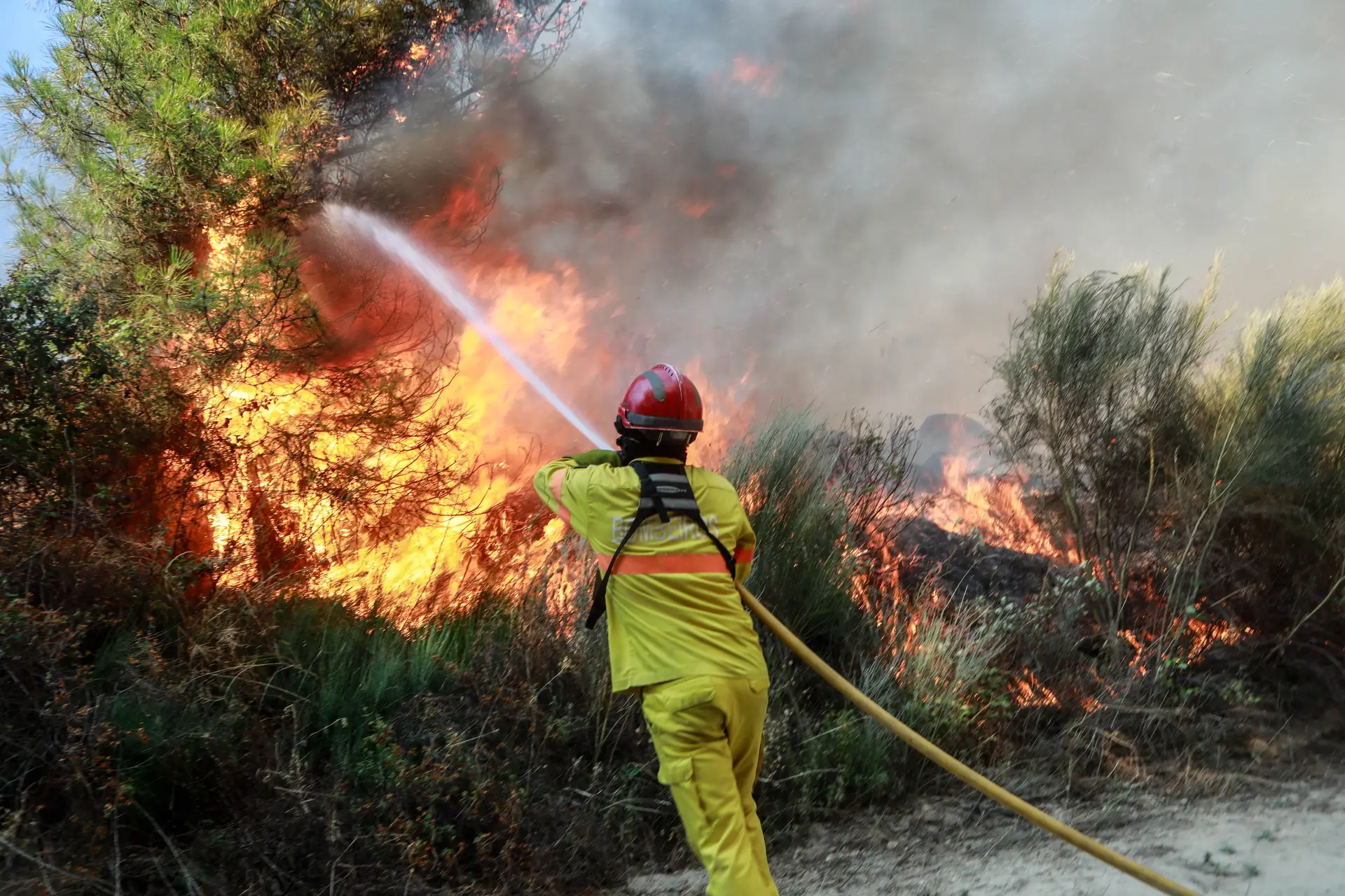 Fogo em Loures dominado, A8 reabriu ao trânsito
