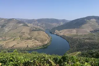 Douro Vinhateiro