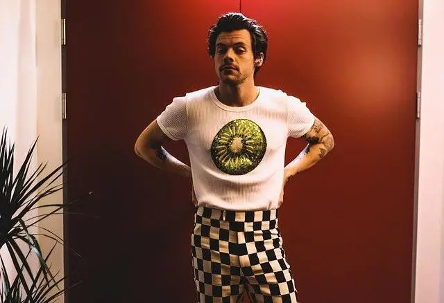 A emotiva foto do concerto de Lisboa que Harry Styles partilhou
