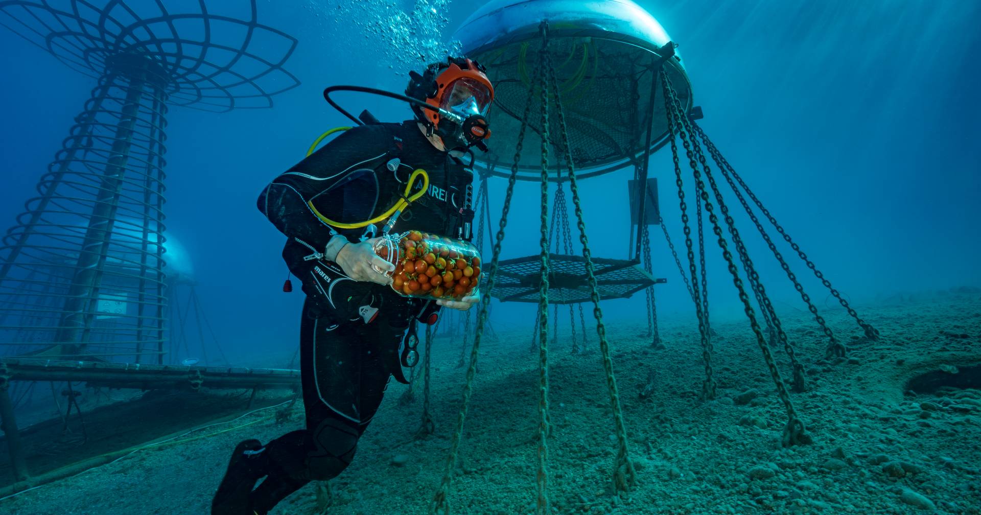 Nemo’s Garden: uma horta submersa no mar, a mais de sete metros de profundidade
