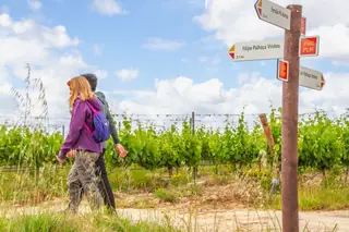 Jardins de Vinhas, em Palmela