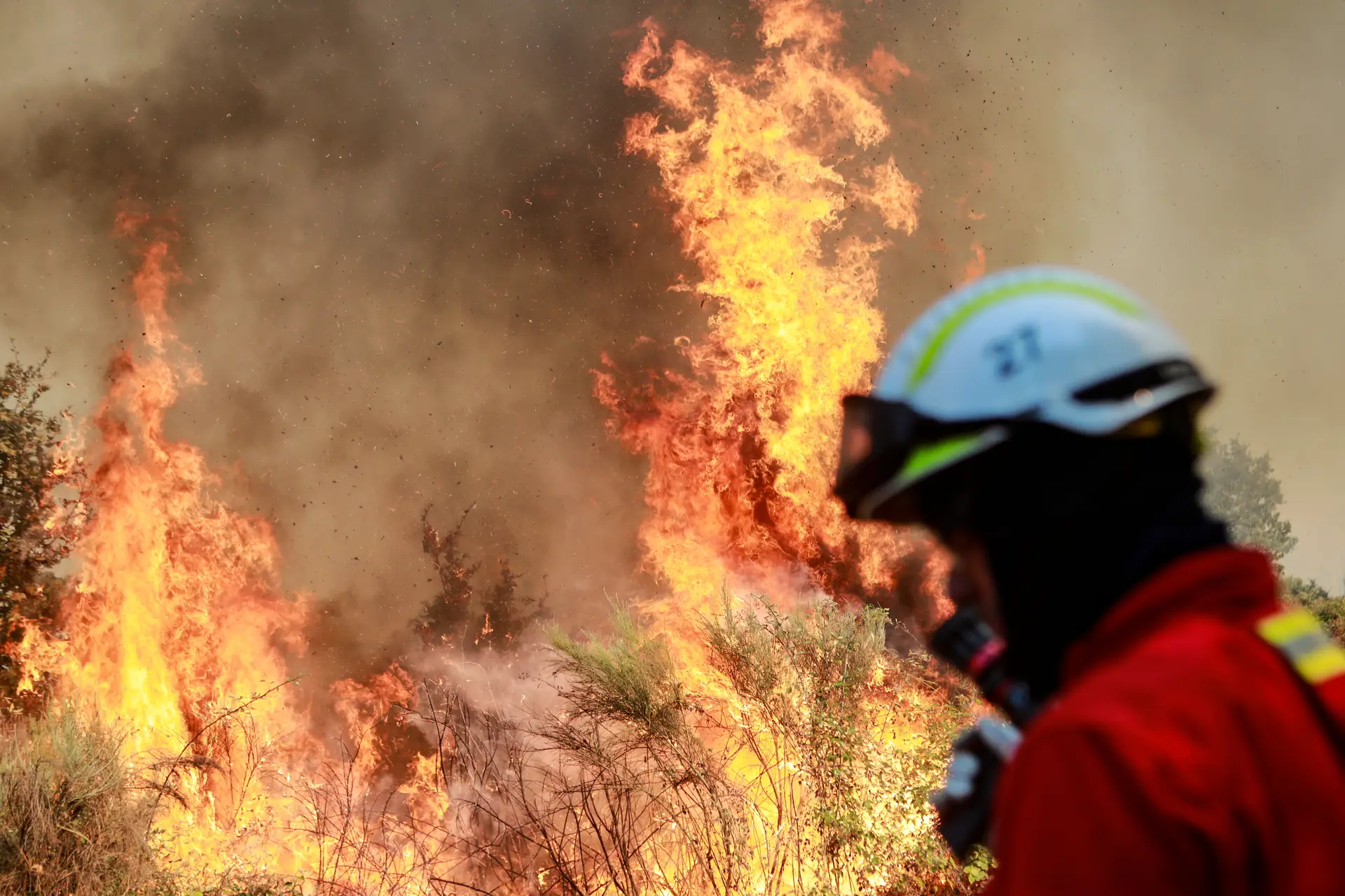 Polícia Judiciária deteve suspeito de atear fogos em Montalegre
