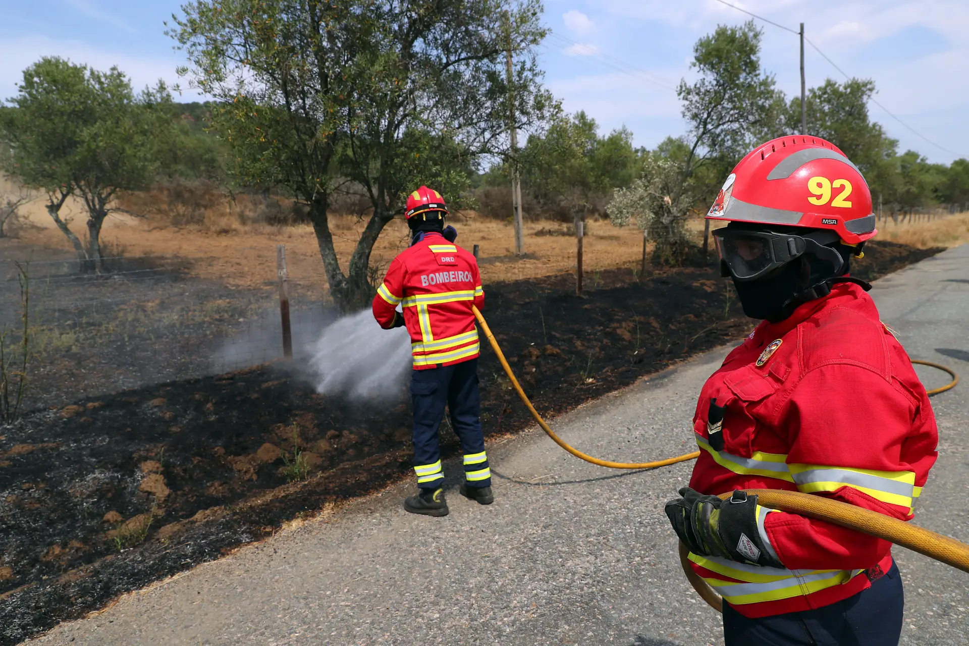 Dezanove concelhos de cinco distritos em perigo máximo de incêndios rurais