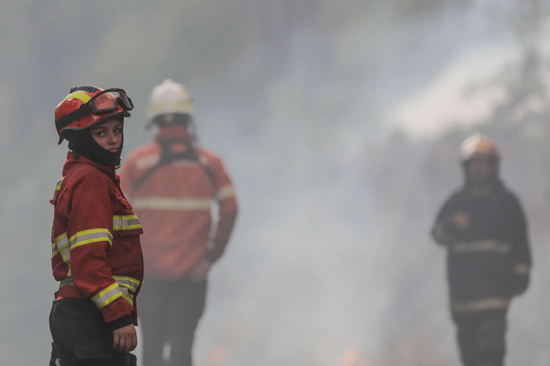 Incêndios: mais de 250 bombeiros e seis meios aéreos combatem chamas em Garrocho