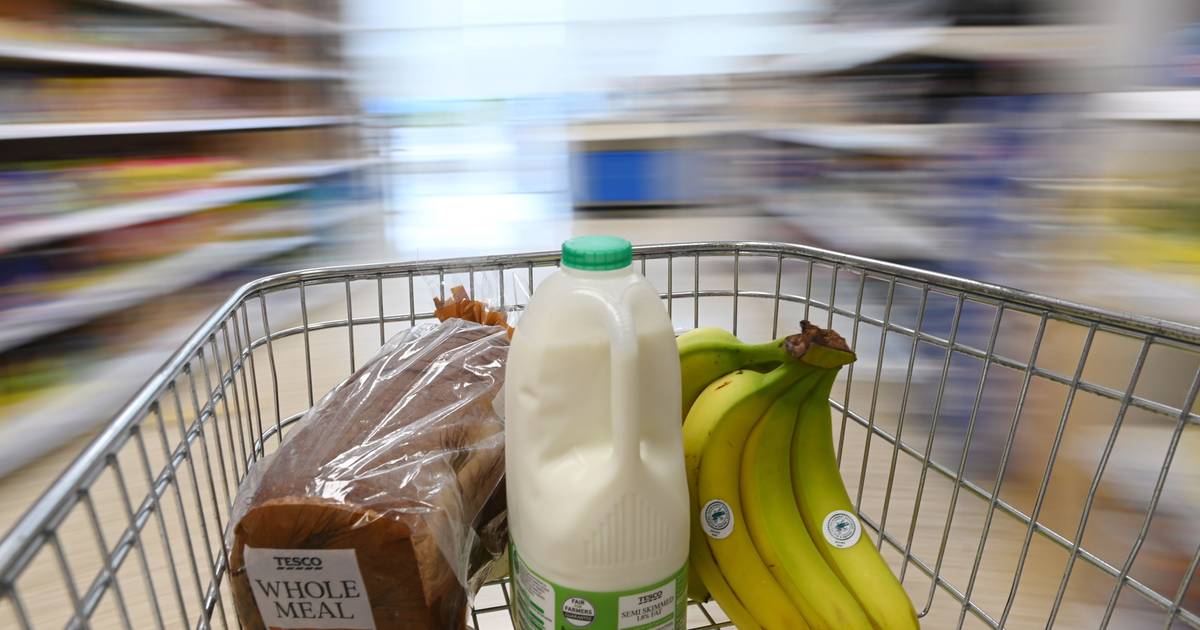 Produtos geneticamente editados podem ficar sem aviso no rótulo: “Não brinquem com a nossa alimentação”