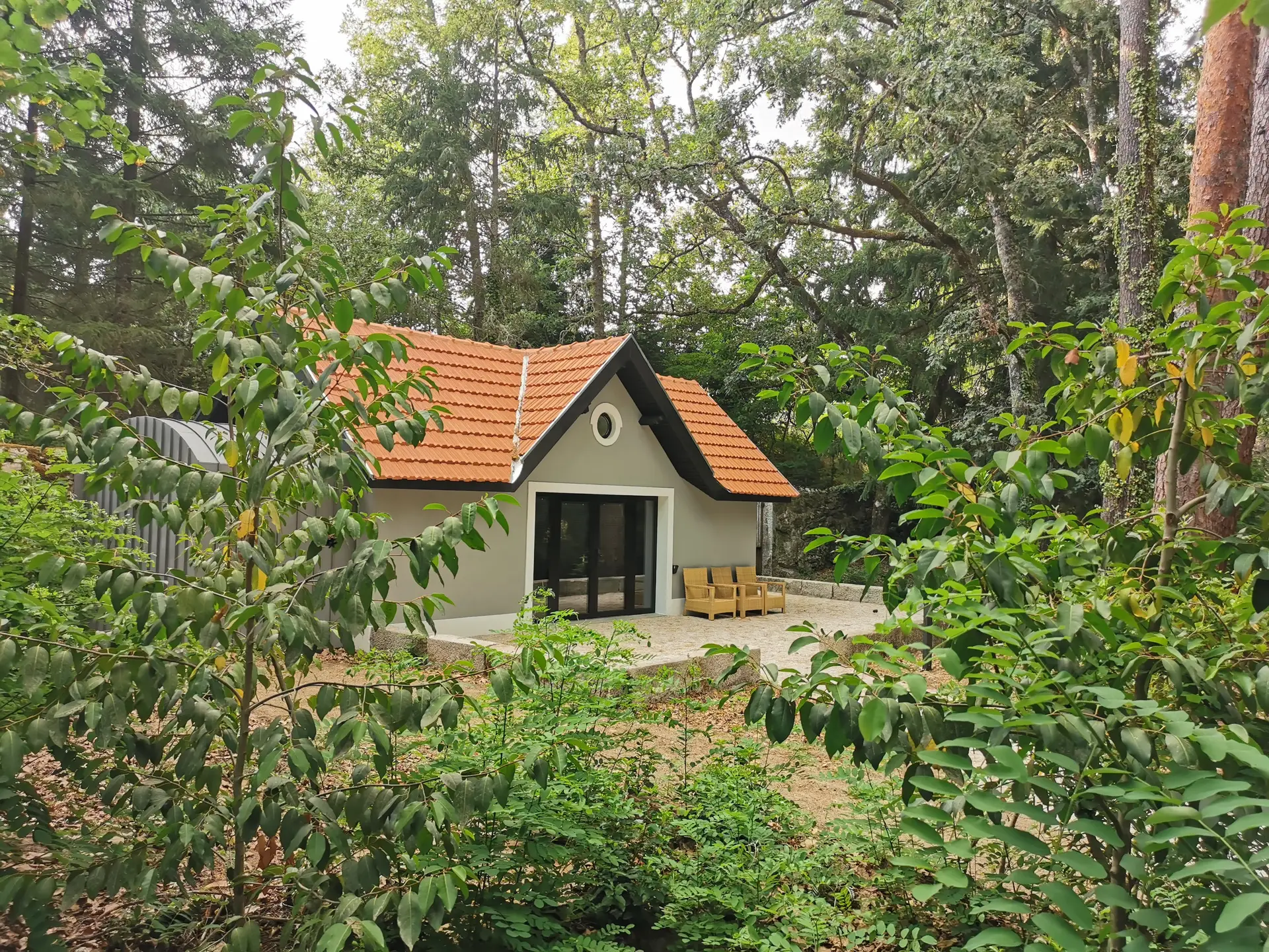 Conheça as novas casas ecológicas escondidas na floresta do Parque de Pedras Salgadas