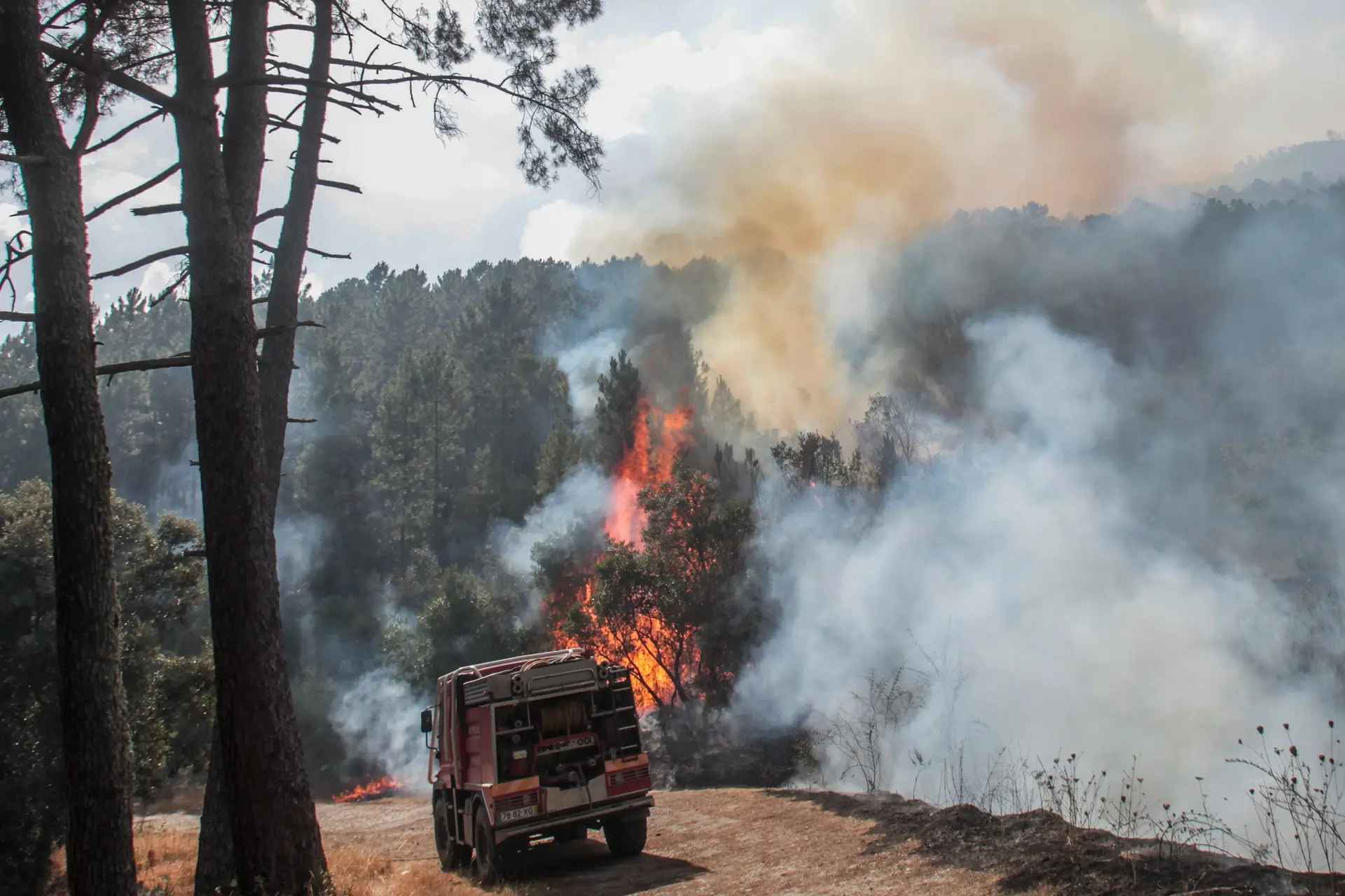 Grandes incêndios vão ser investigados pela Comissão Nacional para a Gestão Integrada de Fogos Rurais