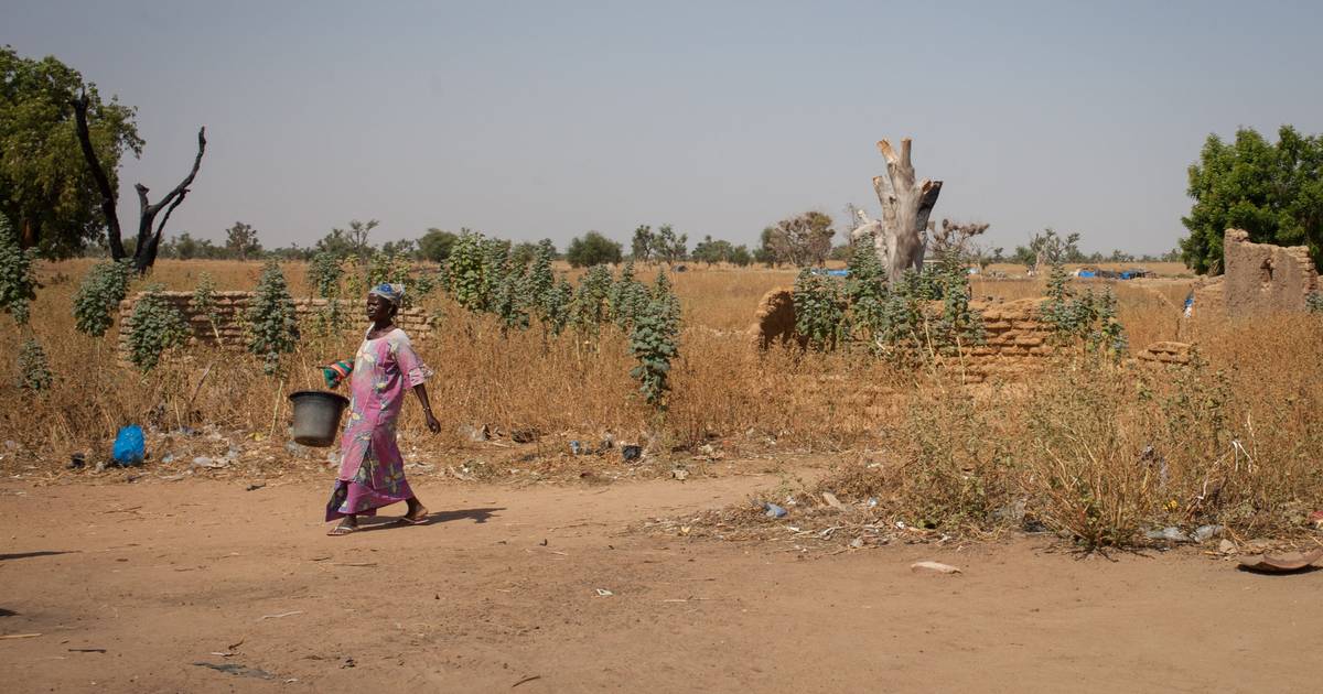 Mali: Mediação internacional apresentou propostas concretas para a paz