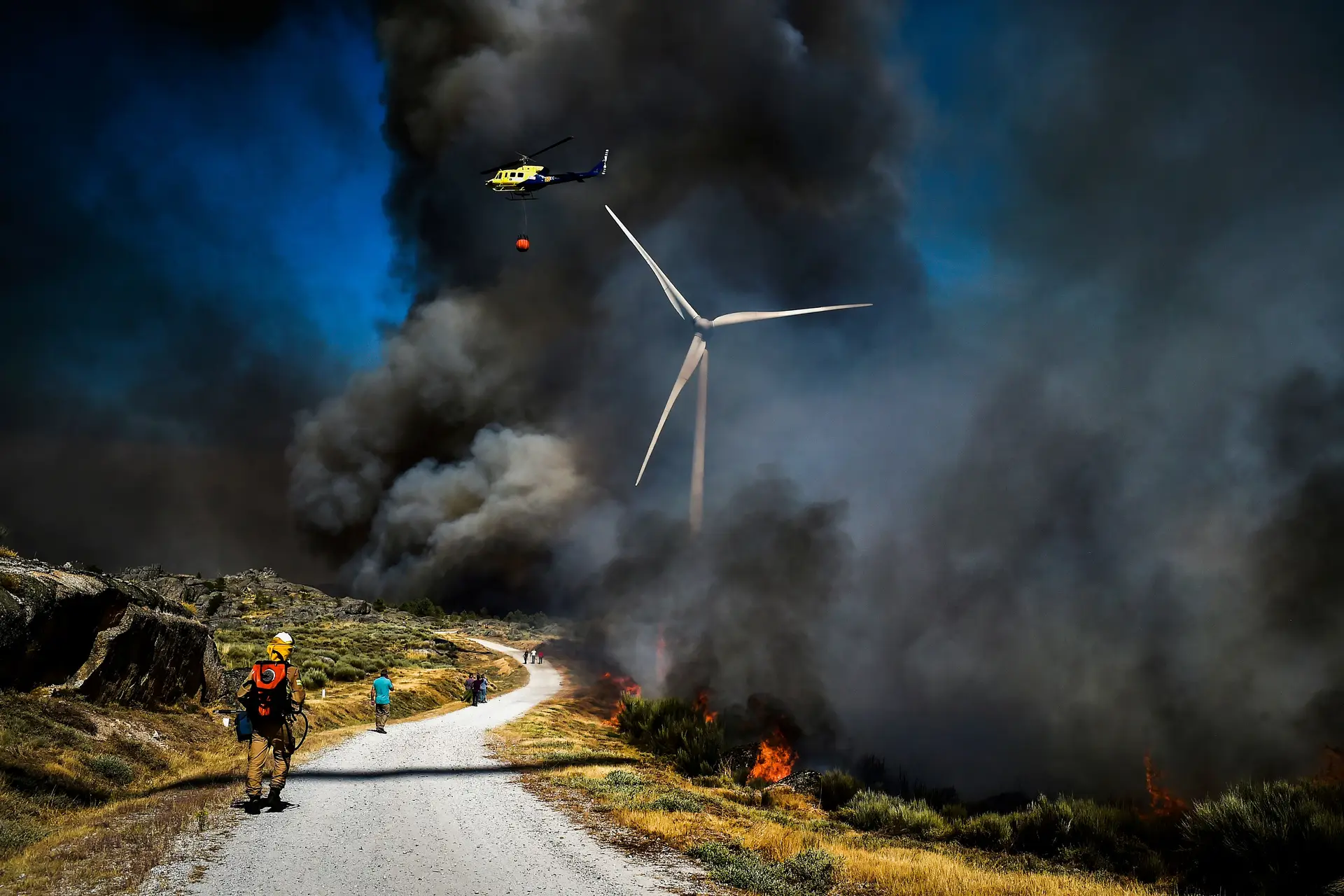 Descoordenação, conflitos entre entidades e abandono de área ardida no fogo da Serra da Estrela