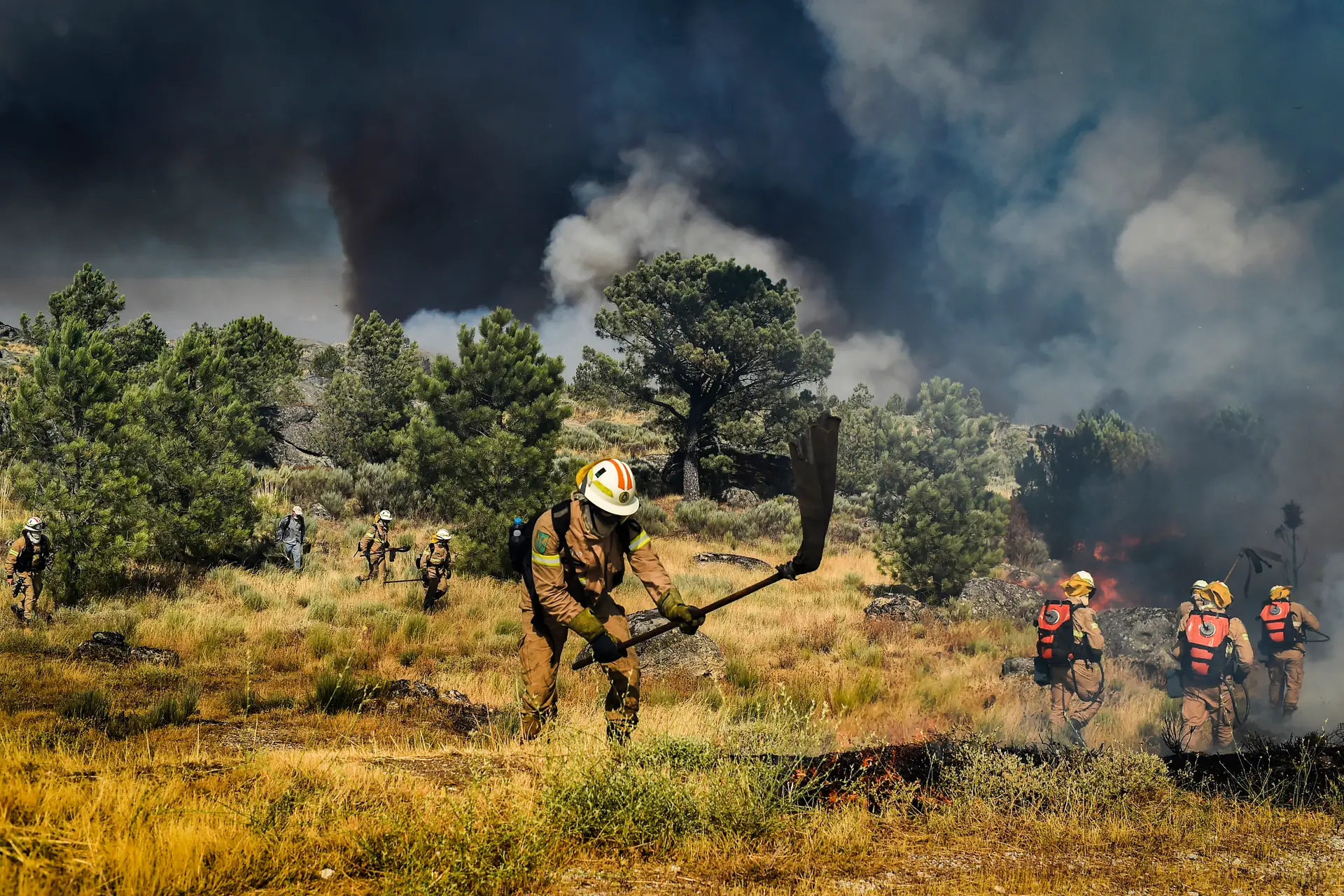 Doze meios aéreos e mais de 1.250 operacionais no combate ao fogo na serra da Estrela