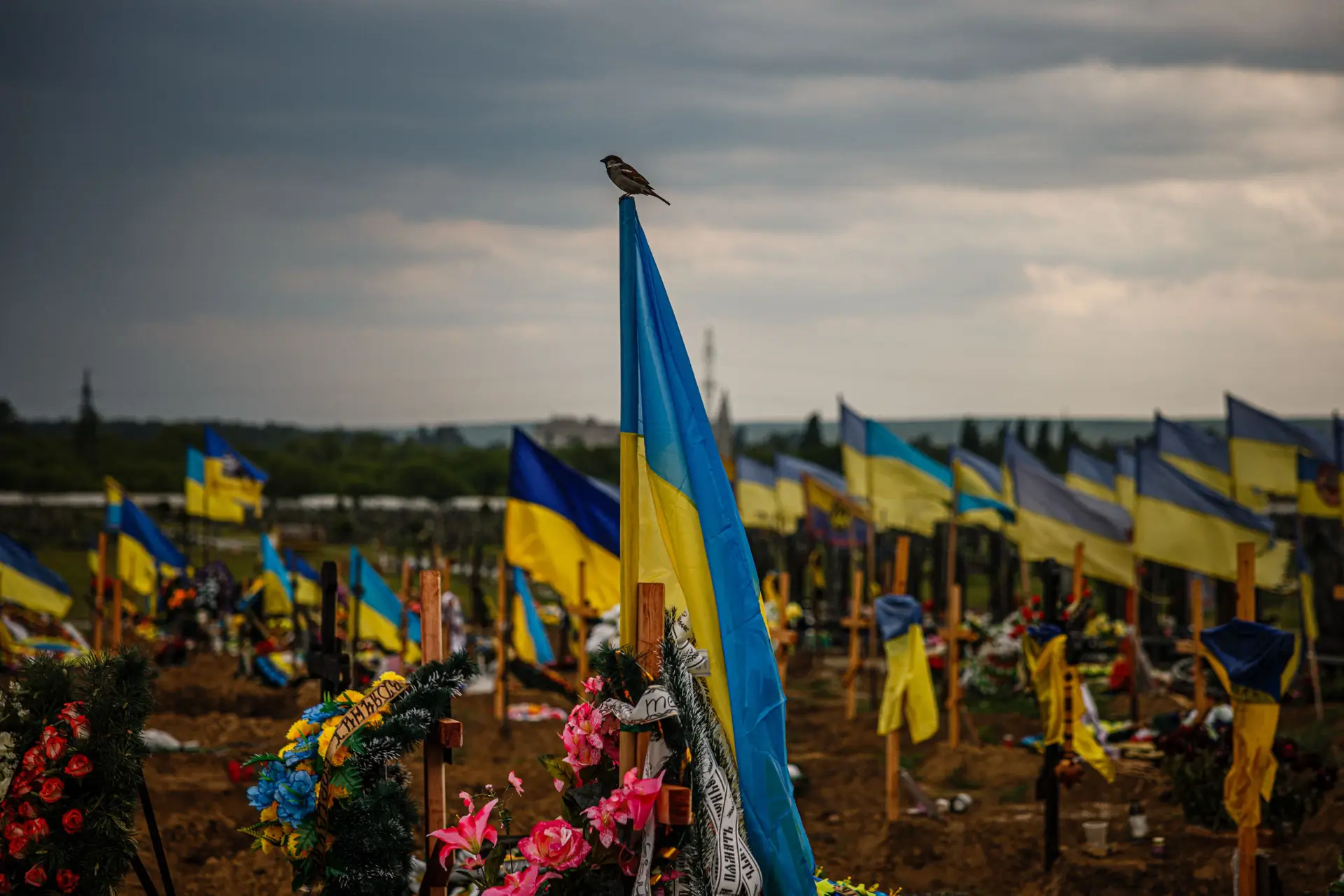 MORTE — Neste cemitério de Kharkiv, as bandeiras da Ucrânia identificam as sepulturas de militares, que deram a vida pelo país