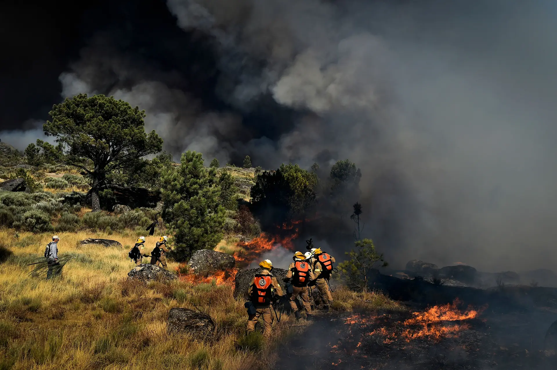 Proposta de "prémio" no Orçamento de Estado para autarquias com menos incêndios foi chumbada em 2021