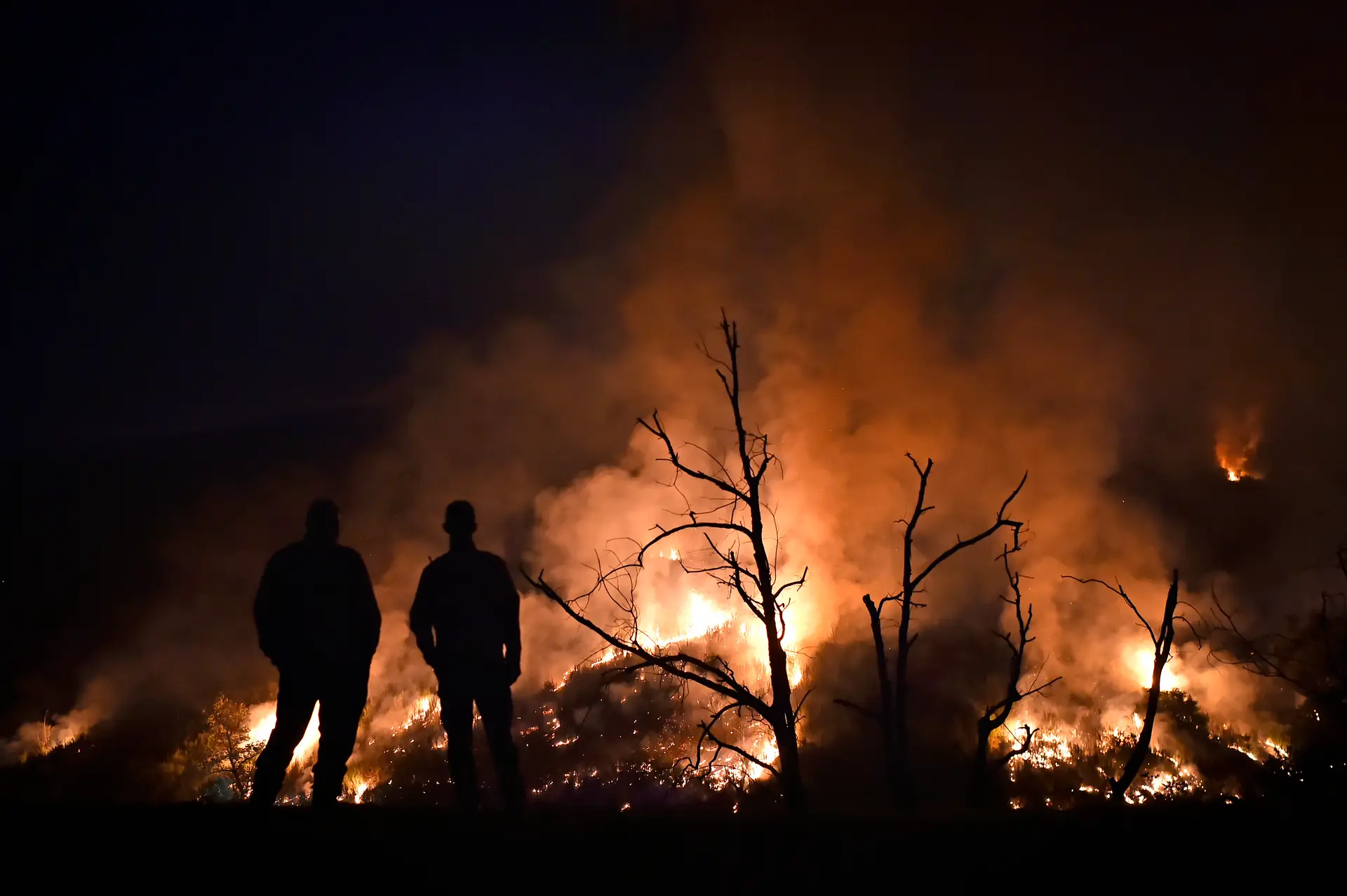 Proibição de queimadas e uso de fogo-de-artifício: Proteção Civil emite aviso à população com medidas de prevenção de incêndios