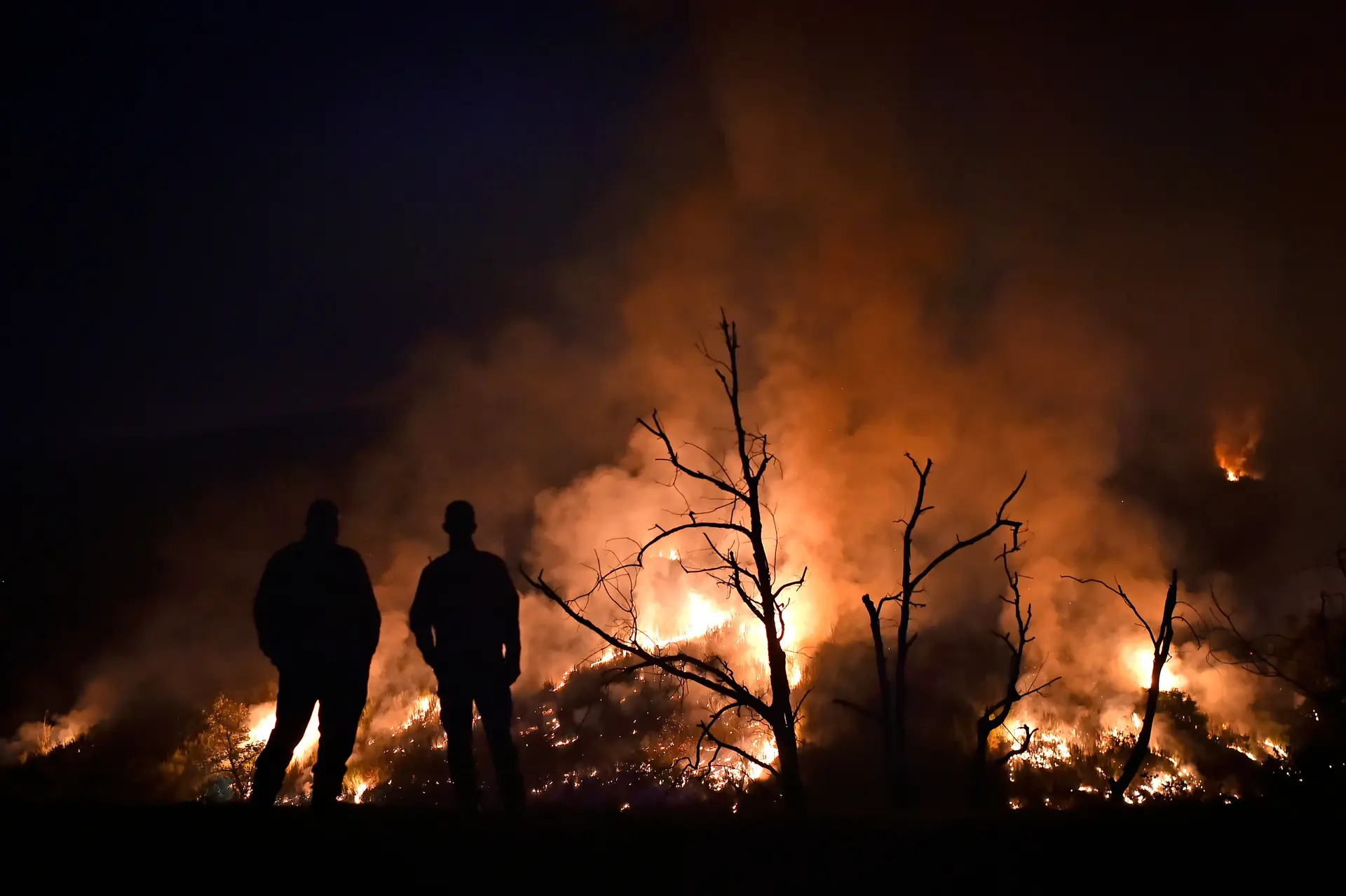 Incêndios: Manteigas aponta para 2,5 milhões de euros de danos em infraestruturas municipais
