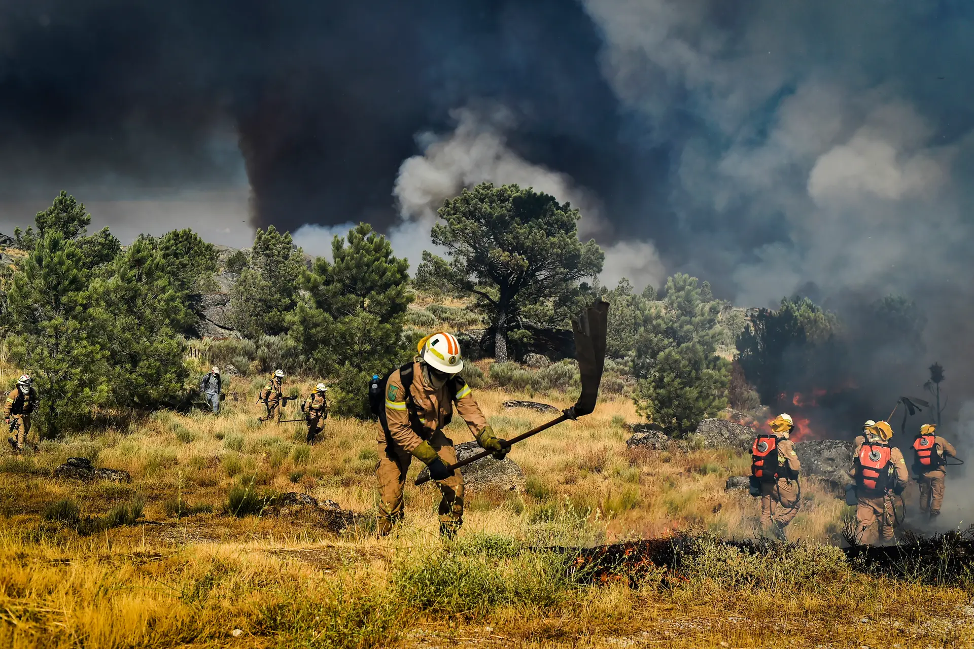 Incêndios: detidas 151 pessoas este ano, mais do dobro do que em 2021