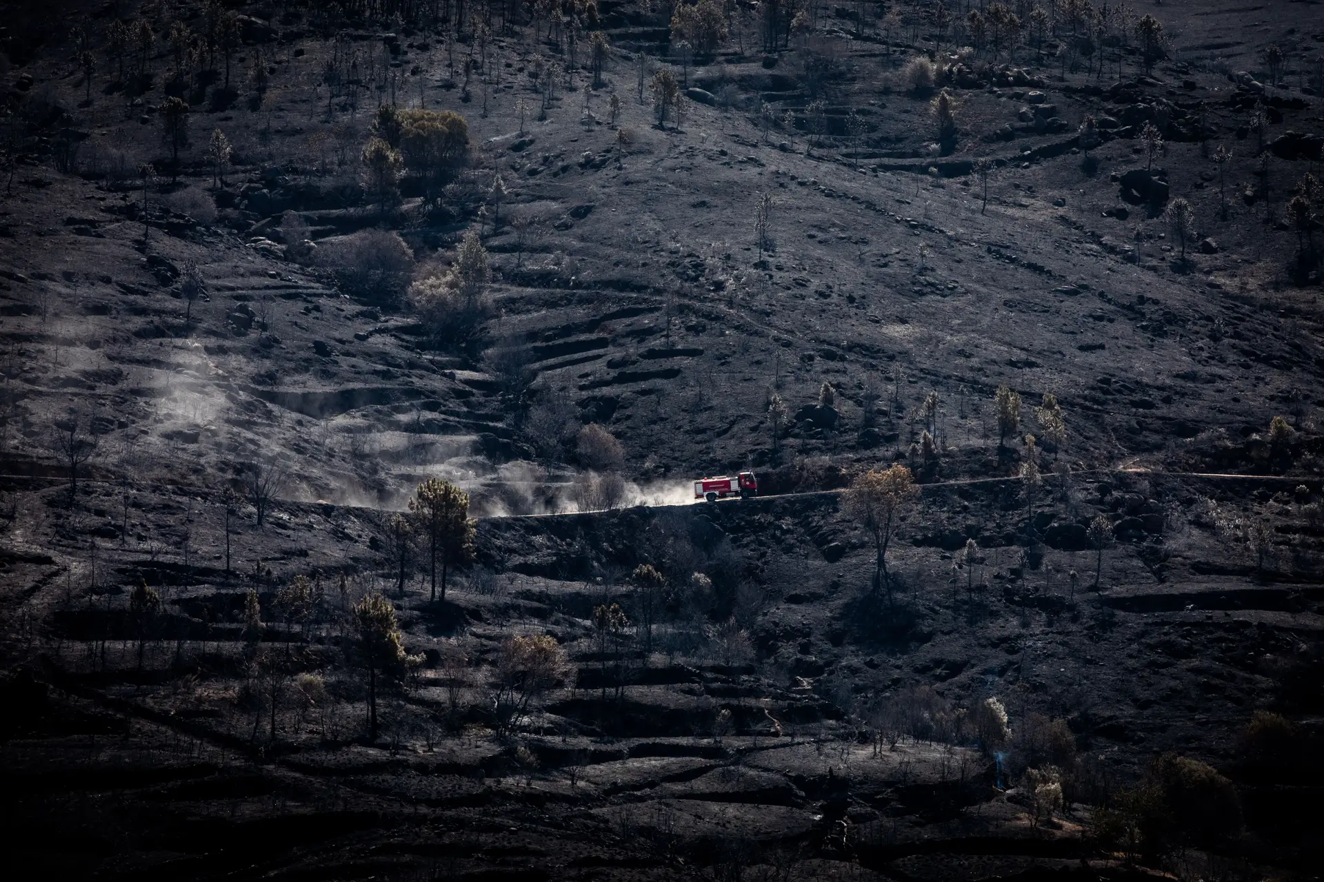 A desolação da serra da estrela depois de consumida pelas chamas