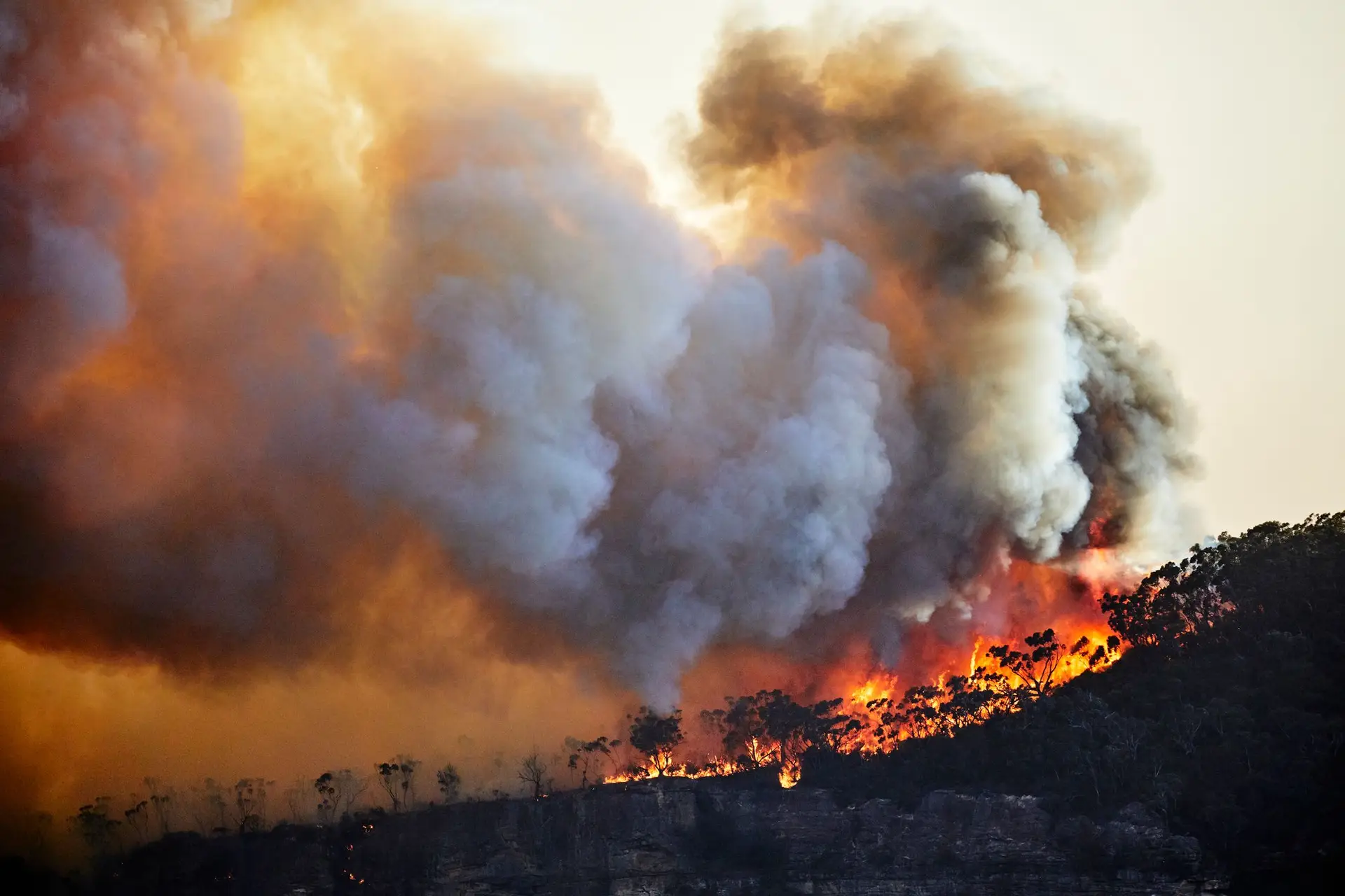 Incêndios: autarca quer retomar projeto que une municípios da serra do Marão