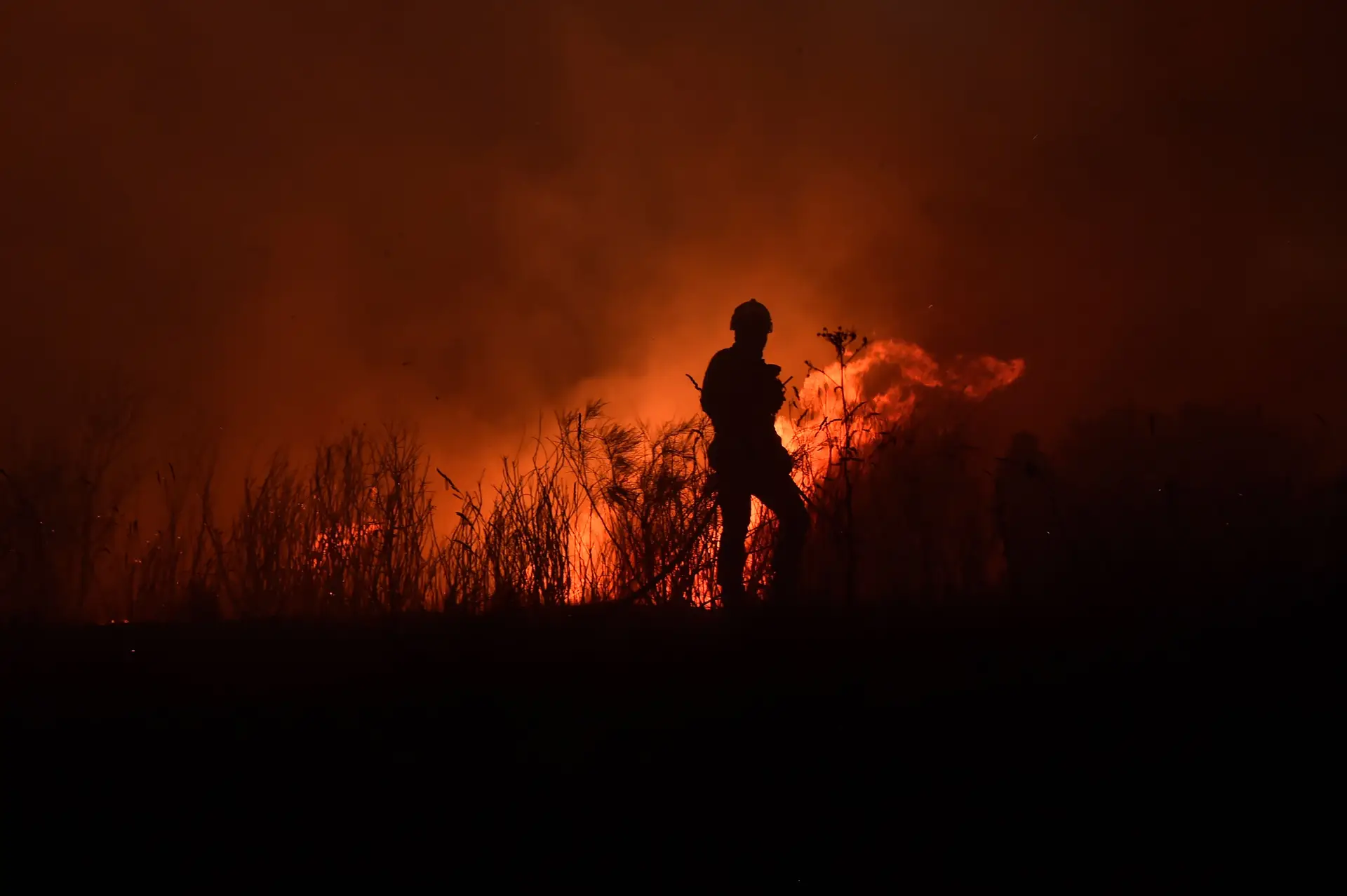 Incêndios: quanto demora recuperar a área ardida? “Será um trabalho de décadas” e Portugal “poderá não ter o dinheiro que necessita”