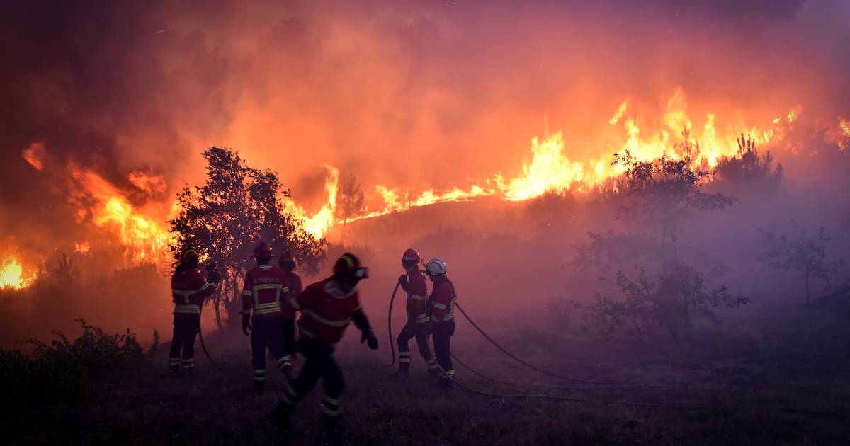 O que se aprendeu com o incêndio da Serra da Estrela de 2022? Há 45 medidas para tomar