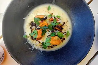 “Mexilhão com kohlrabi e óleo de cogumelo shiitake” no Queimado