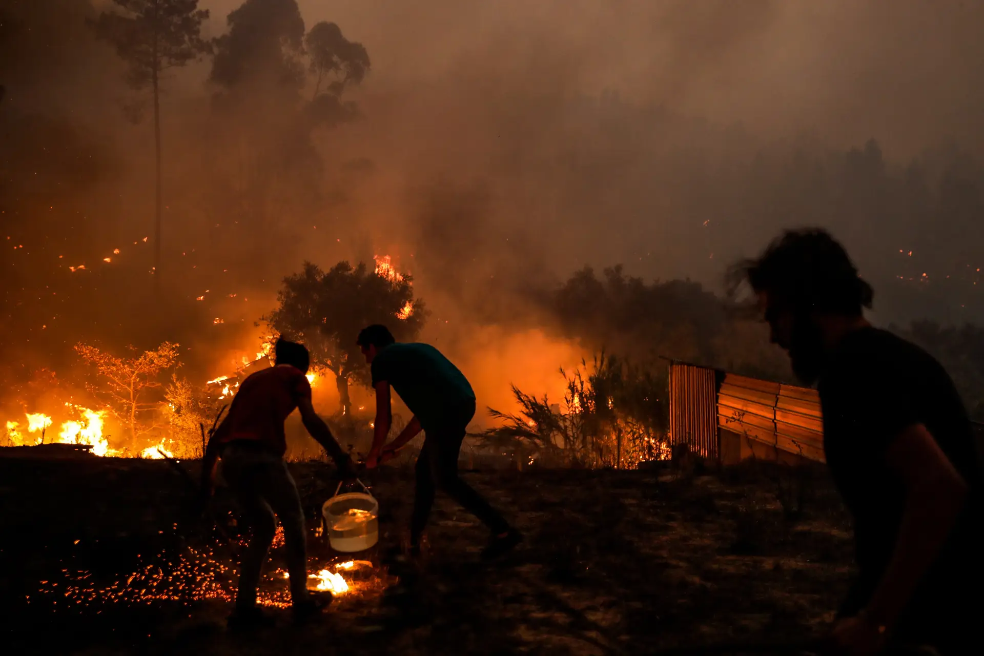 Grandes incêndios em Portugal no verão mostraram "desconhecimento" e "insuficiente qualificação" de alguns comandantes, conclui estudo