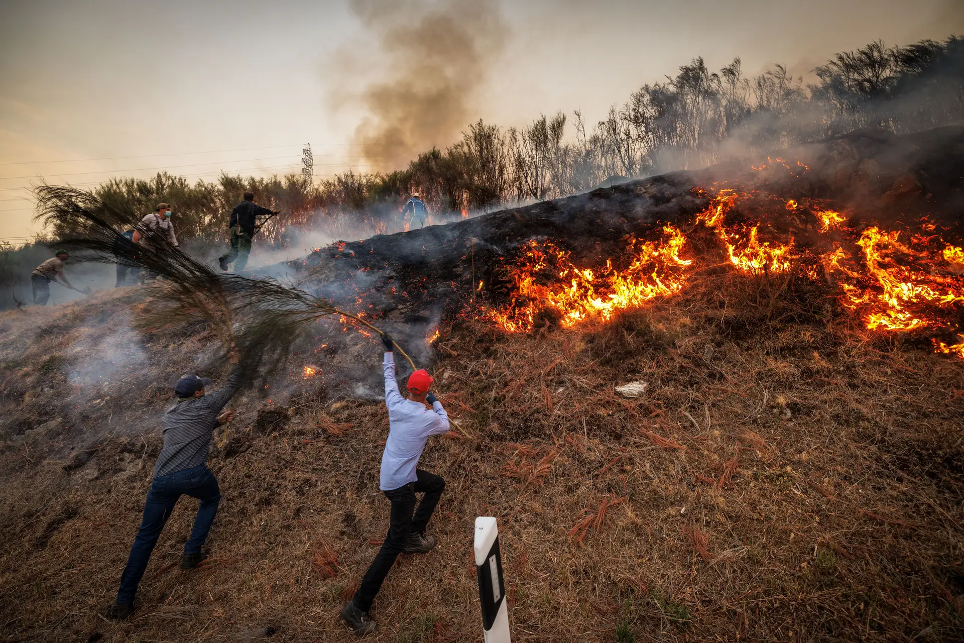 Incêndios em Vila Real em fase de resolução, arderam cerca de 6000 hectares