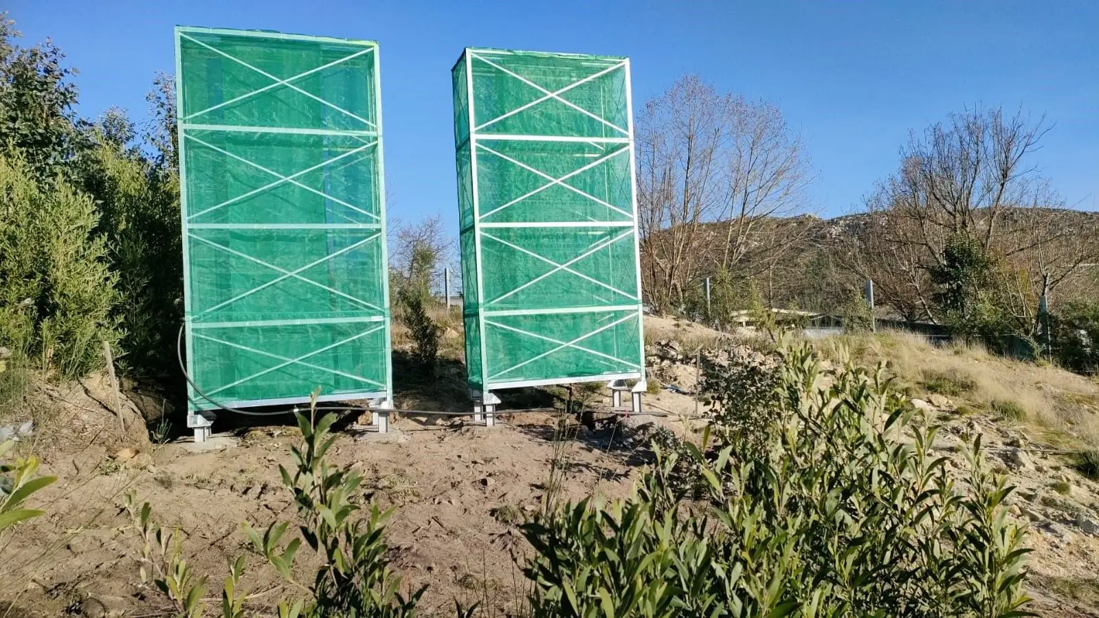 “Funcionam como árvores artificiais”. Cientistas portugueses e espanhóis criam coletores de nevoeiro para salvar florestas